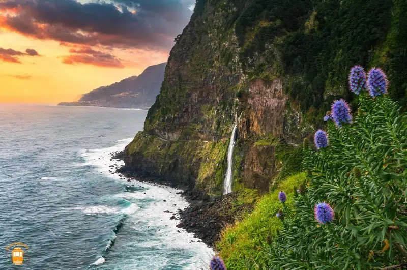 visitar Madeira