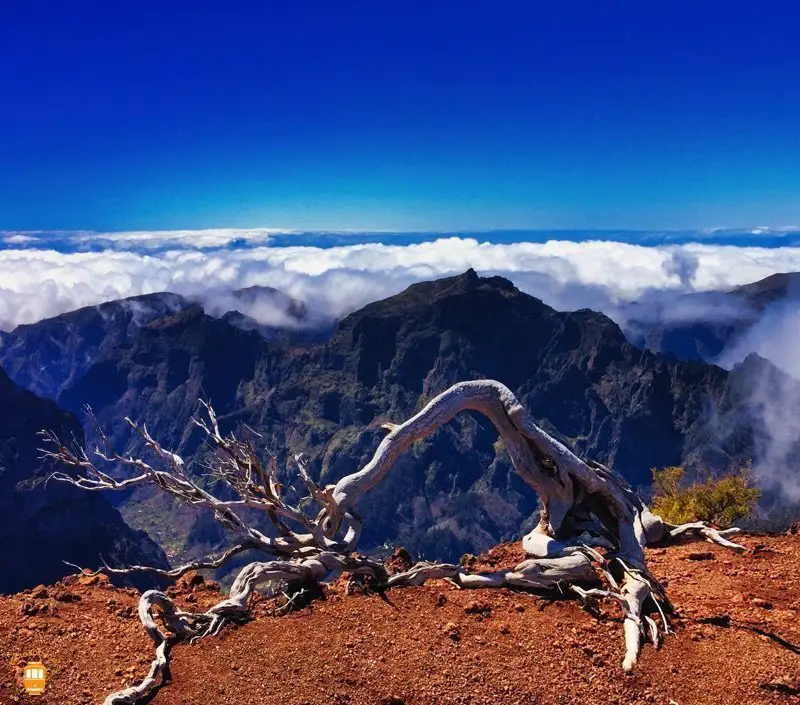Pico Ruivo - visitar Madeira
