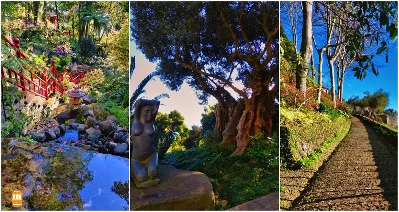 Jardin Tropical Monte Palace - Funchal - Madere