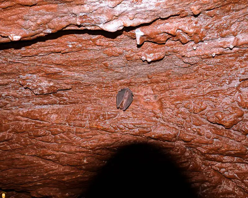 gruta-lorga-de-dine-portugal-parque-natural-de-montesinho