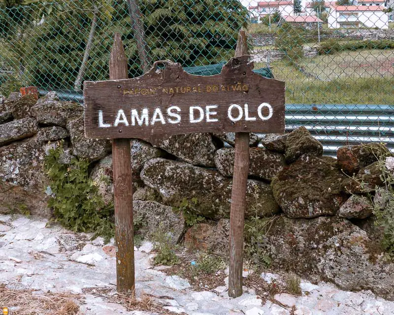 lamas-de-olo-parque-natural-do-alvao-portugal
