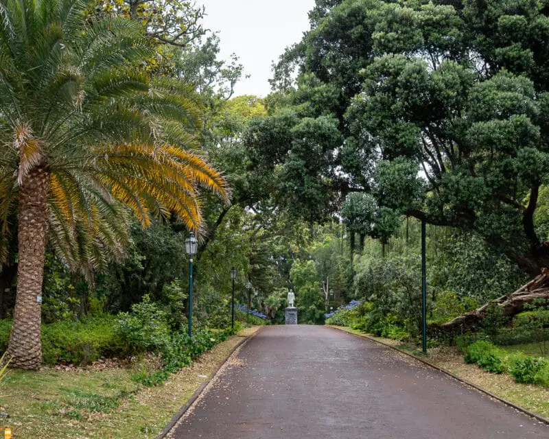 Jardim-Botanico-Jose-do-Canto-Ponta-Delgada